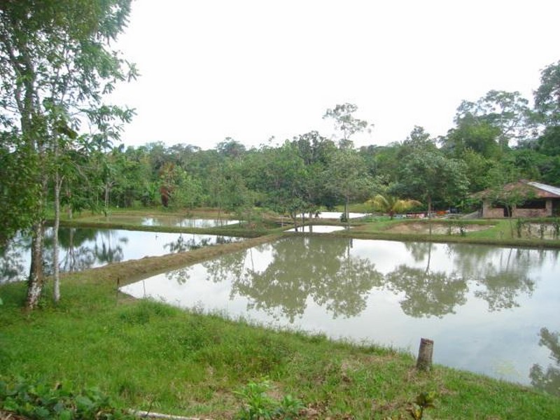 piscigranja-rural-2